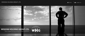 Wisdom Holding Group website designed by Xcentro Graphic Ideas